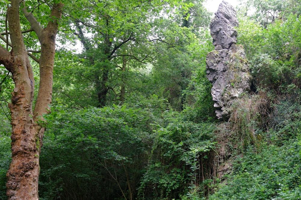 La Dame de Chambrille Statue Forêt
